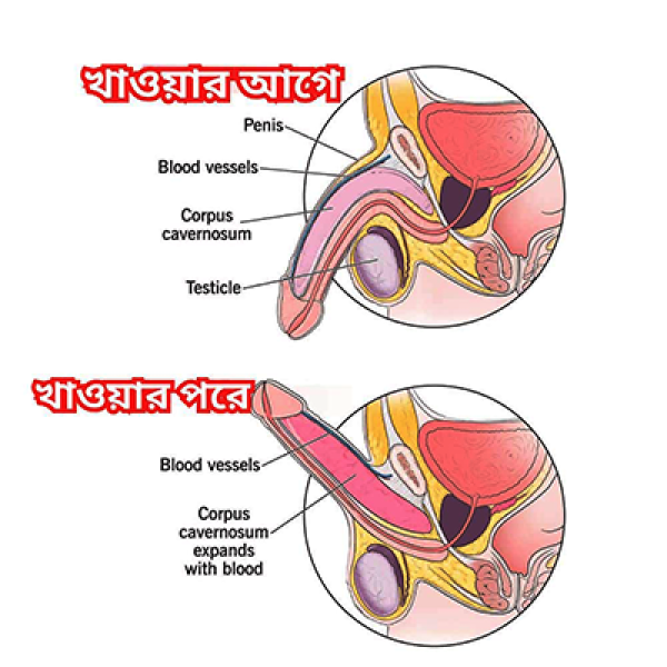 Shri Kameswar Modak (শ্রী কামেশ্বর মোদক)